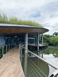เที่ยวสวนดอกไม้เมืองหนาว ที่ ปตท.ระยอง