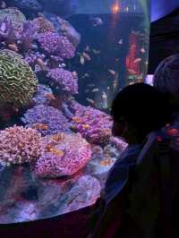 Sea Life Bangkok Ocean World จ.กรุงเทพฯ
