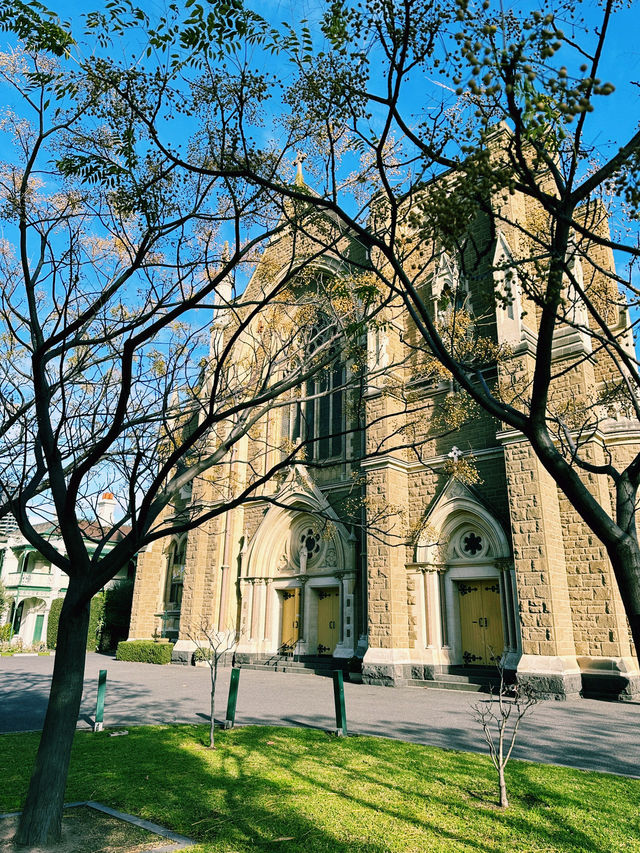 ✨Wandering into Summer — A Sweet Stop by Saint Mary Catholic Church, Melbourne ⛪🍊