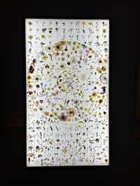 🖼️📚 RAMM – พิพิธภัณฑ์ที่ไม่ได้แค่โชว์ของ ✨🎨