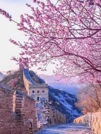 Four seasons of Great Wall 🌸🍃🍁❄️
