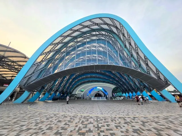 Dive Into the New Singapore Oceanarium