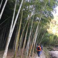 Nanxi River Scenic Area (Zhejiang)