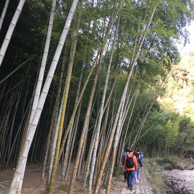Nanxi River Scenic Area (Zhejiang)