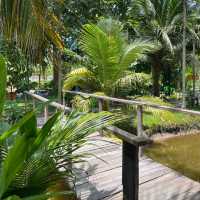 คาเฟ่เปิดใหม่ระยอง น่ารักเกิ๊นนน 🌴🪿