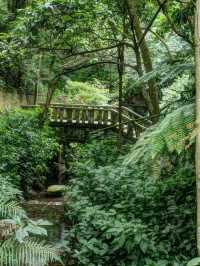 Refreshing Hike Along Hushan Nature Trail