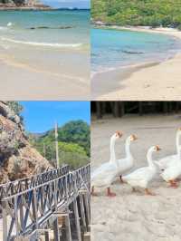 เที่ยวทะเลใกล้กรุงเทพ เกาะล้าน น้ำใสมาก