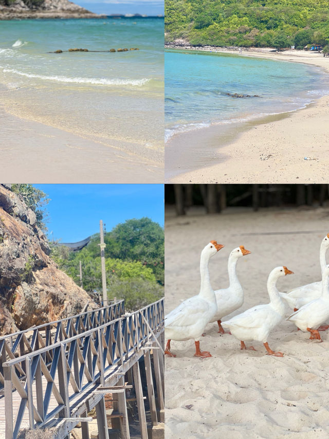 เที่ยวทะเลใกล้กรุงเทพ เกาะล้าน น้ำใสมาก