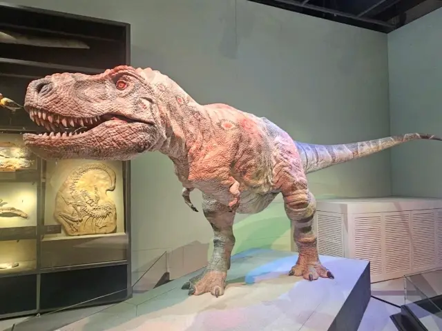 親子樂遊科學館，又玩又學新科技知識