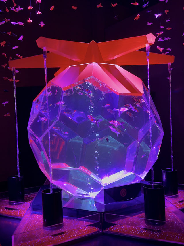 【愛知観光】˗ˏˋ 7年ぶりの名古屋開催❗️幻想の金魚アート🏺ˎˊ˗