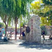 A Desert Park Like No Other 