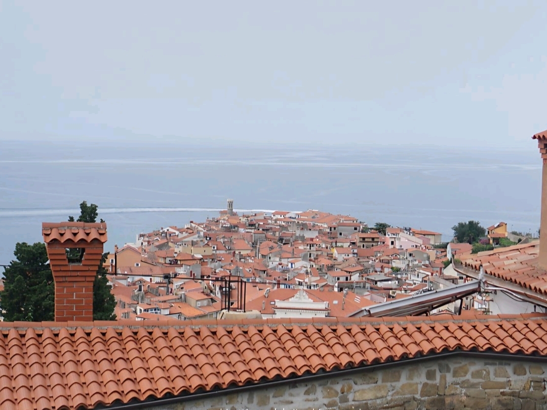 🇸🇮 Piran, phong cảnh Địa Trung Hải nhìn từ trên đồi