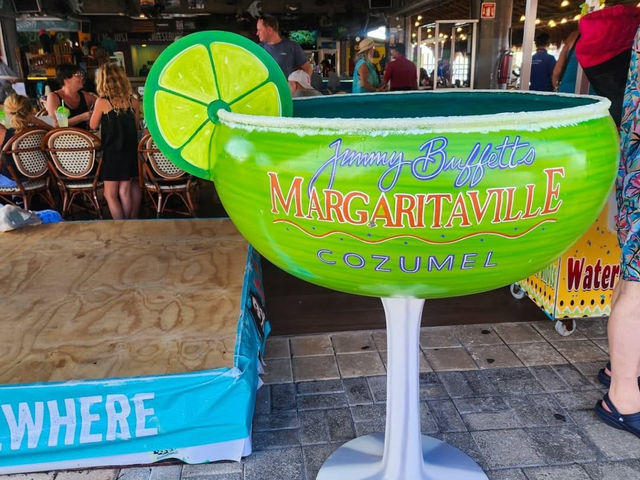 Vibrant Adventures Await in Cozumel