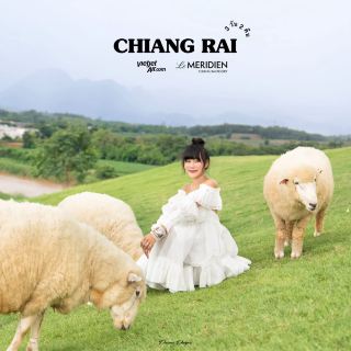 Travel to Chiang Rai