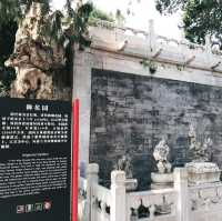 🇨🇳🏯 探索故宮的千年秘境：歷史與文化的璀璨寶庫 📜⌛️