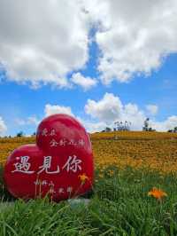 金黃色的赤科山