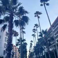 🌴 海辺のカフェリゾート体験 — Malibu Farm in 逗子マリーナ