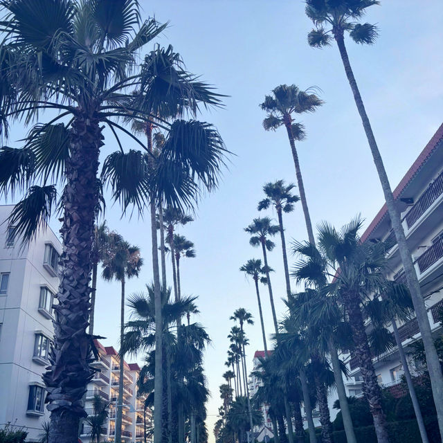🌴 海辺のカフェリゾート体験 — Malibu Farm in 逗子マリーナ