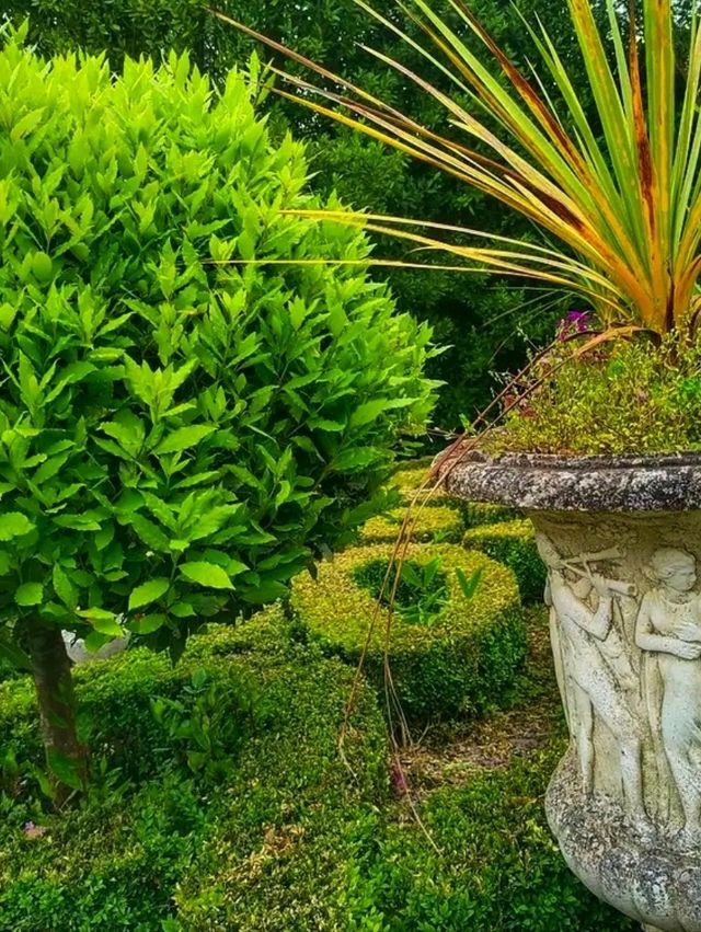 🌿 Stockwood Discovery Centre – A Treasure of Heritage & Nature in Luton 🌿