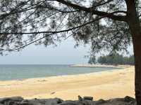 Pantai Teluk Lipat, Dungun – The Hidden Gem of Terengganu’s East Coast