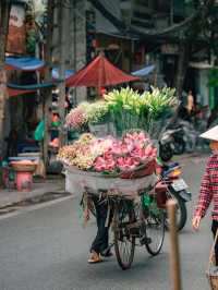 🌸 Wandering Blooms in Hanoi 🌸
