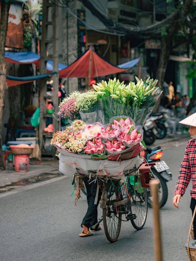🌸 Wandering Blooms in Hanoi 🌸