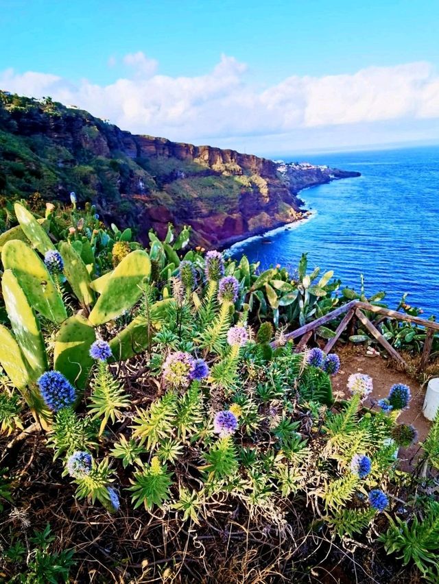 Tenerife an islanc of masterpiece Tenerife an islanc of masterpiece
