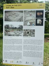 Kapilvastu: An Ancient Wonder and the hometown of lord Buddha.