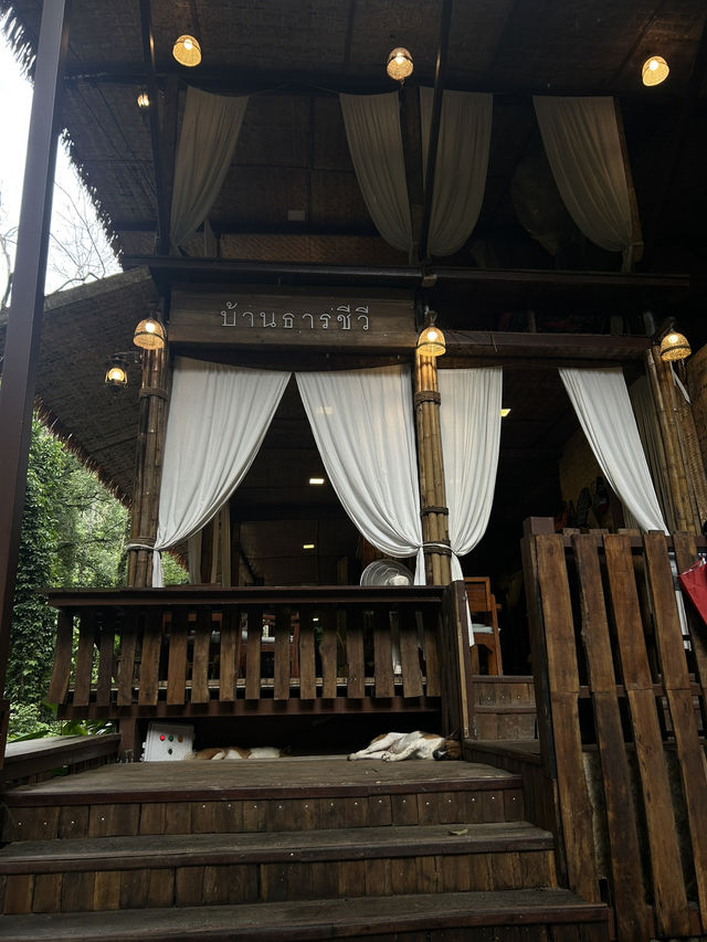 บ้านธารชีวี ติดลำธาร เย็นสบาย 