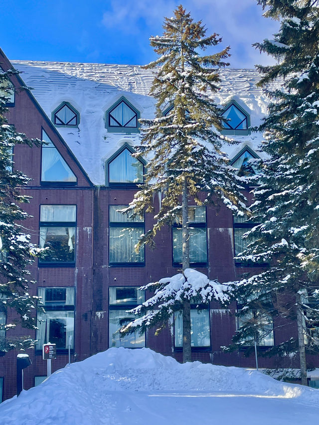 겨울 즐기기 끝판왕! 호시노 리조트 🥶❄️☃️🥌