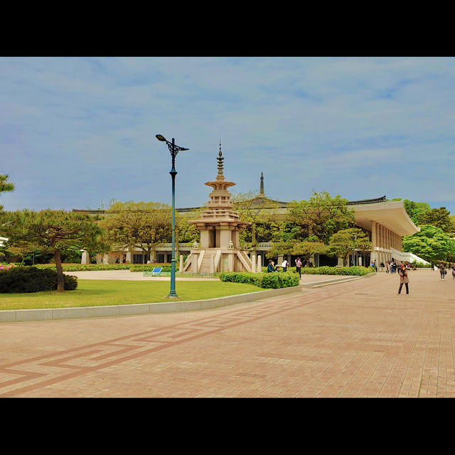 🏺 신라 천년의 숨결을 느낄 수 있는 곳, 국립경주박물관 🌿⛩️