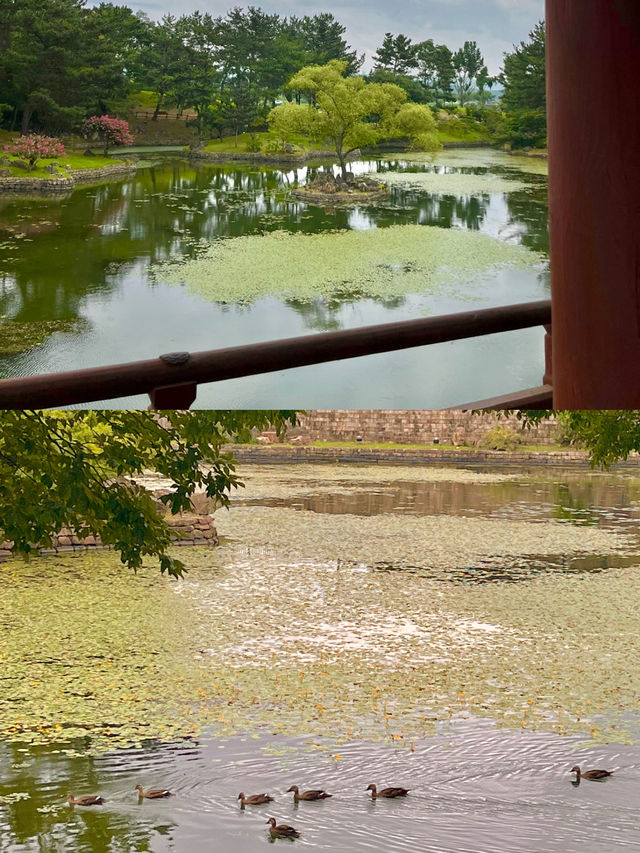 🌙낭만과 고즈넉함이 공존하는 경주 명소 탐방🌿