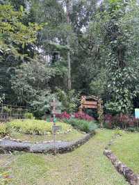 ป่าในเมือง 