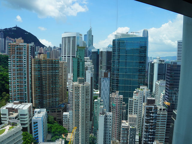 방에서 즐기는 홍콩 야경, 가족여행에 딱 맞는 호텔🏙️