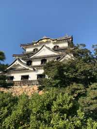 琵琶湖と城下町を一望できる、国宝・彦根城