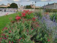 The Tuileries Garden: An Oasis in Central Paris