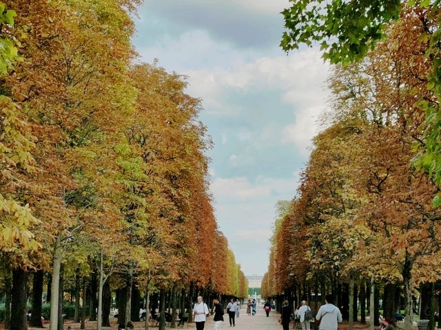 A Classic One-Day Paris Citywalk