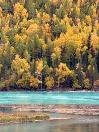 Born of Snow: Altay’s Winter Soul