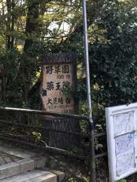 🚡高尾山一日遊：纜車體驗×登山散策×美食享受