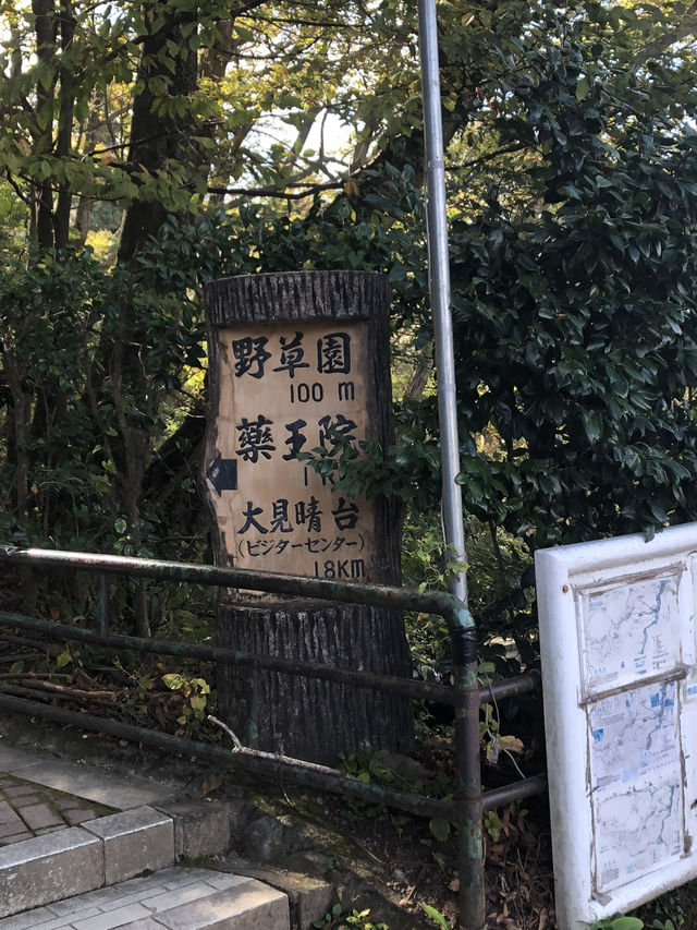 🚡高尾山一日遊：纜車體驗×登山散策×美食享受