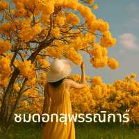อำเภอเนินมะปราง
