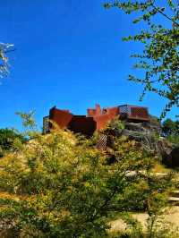 🌿 Jardin Botanique de Bordeaux – A Living Museum of Plants 🌸
