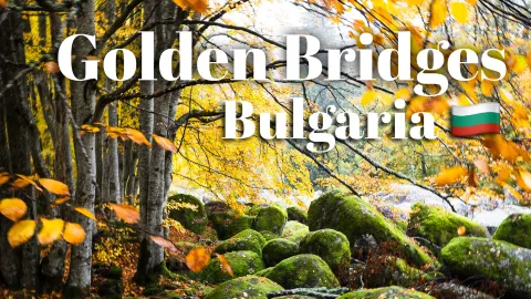Walking the Stone River of Time on Mount Vitosha — traveler post in Sofia