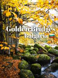 Walking the Stone River of Time on Mount Vitosha