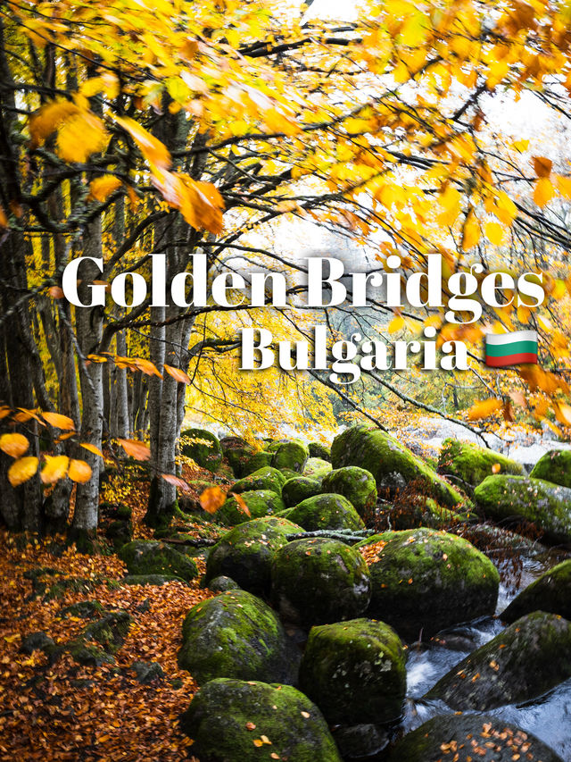 Walking the Stone River of Time on Mount Vitosha Walking the Stone River of Time on Mount Vitosha