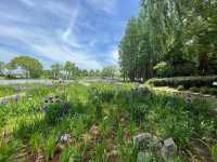 🌸 Ten-Mile Fragrant Path (十里芳径) — The Heart of Yuantouzhu 🌸