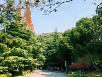 上海🇨🇳余山國家旅遊度假區