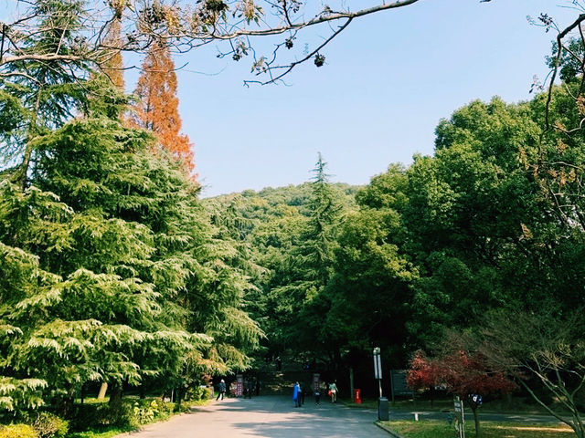 上海🇨🇳余山國家旅遊度假區