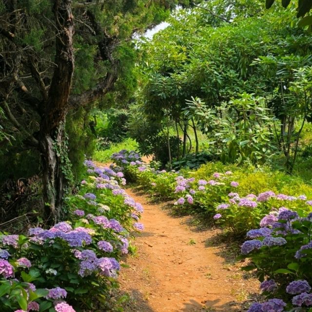 ํ์นด๋ฐ๋ , ํ์์ ํ๋ธ ํฅ ๊ฐ๋ํ ์ ์ ๐ฟ ํ์นด๋ฐ๋ , ํ์์ ํ๋ธ ํฅ ๊ฐ๋ํ ์ ์ ๐ฟ