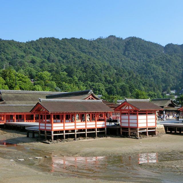 海中島居+海上神社+神之使者一在嚴島神社散策